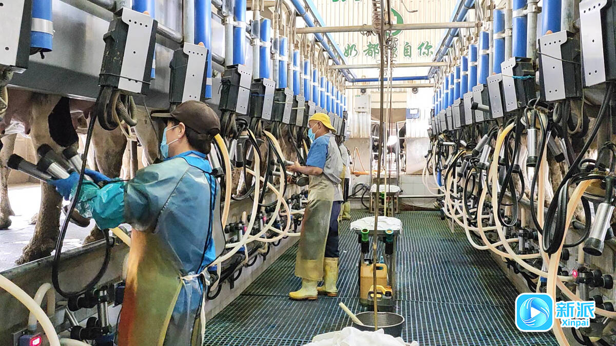 安丘市郚山鎮：踐行大健康理念打造健康食品產業新高地(圖1)