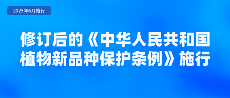 九遊娛樂：不得將刷臉作為唯一驗證方式、首部學前教育法上線月新規(圖5)