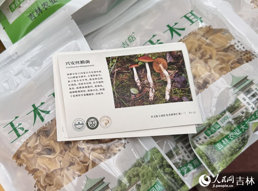 九遊app入口：行進中國｜小菌菇的“七十二變”(圖5)