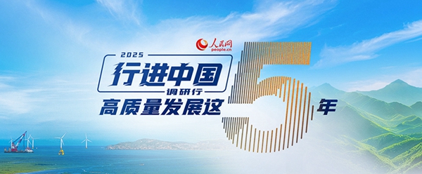 九遊app入口：行進中國｜小菌菇的“七十二變”(圖8)