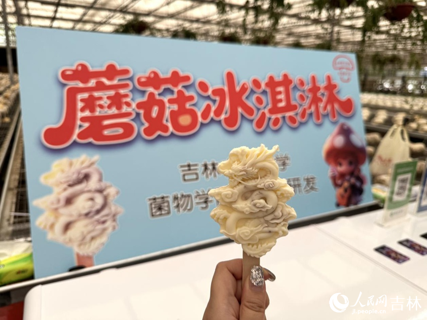 九遊app入口：行進中國｜小菌菇的“七十二變”(圖7)