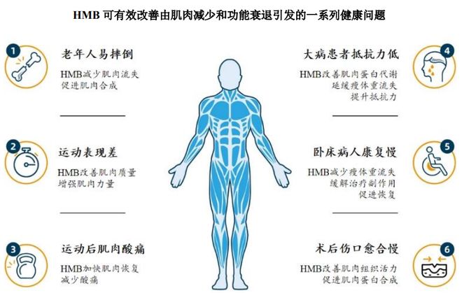HMB全球龍頭技源集團：紮根運動健康賽道憑多元布局贏長遠未來(圖2)