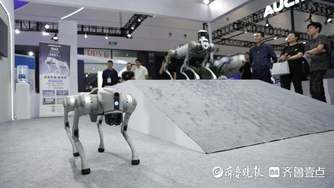 滿滿都是“黑科技”！2025中國國際消費電子博覽會開幕(圖1)
