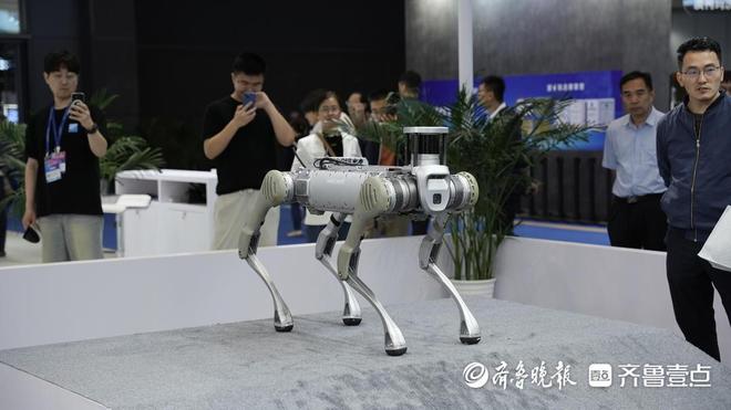 滿滿都是“黑科技”！2025中國國際消費電子博覽會開幕(圖5)