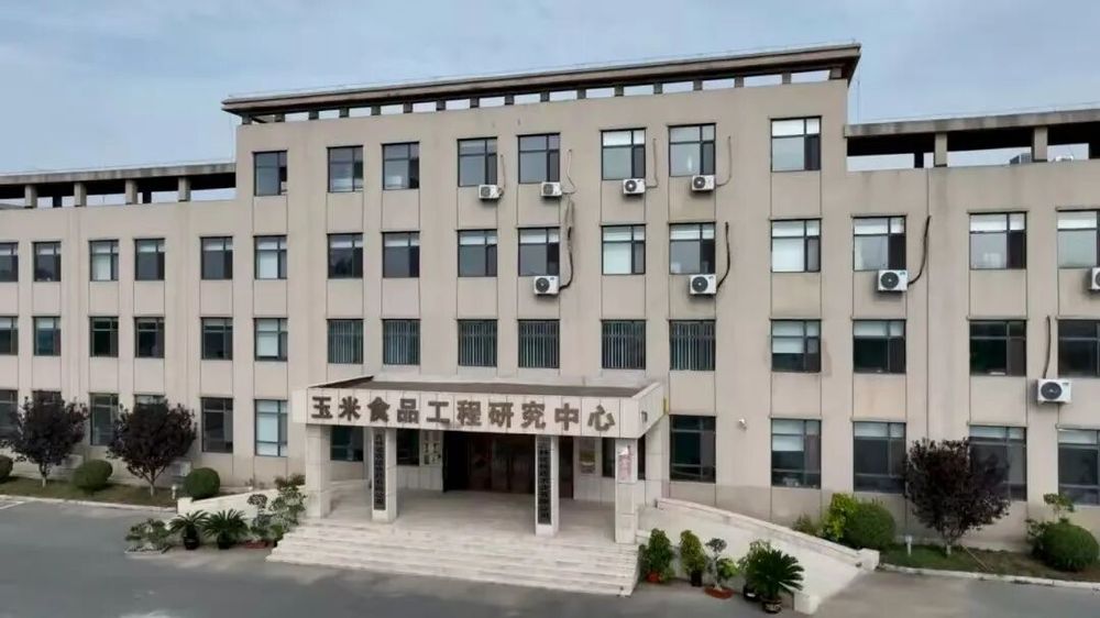 吉林鮮食玉米十大黃金名片｜吉林省農嫂公司：從田間到舌尖“東北農嫂”演繹品質傳奇(圖2)