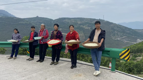 九遊娛樂：科技賦能柑桔產業 實現“變廢為寶”新突破(圖2)