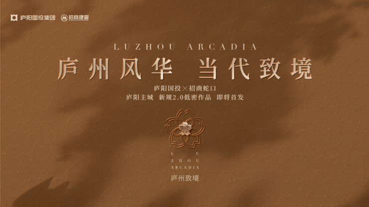 招商廬州致敬項目周邊大環境一覽小區簡單介紹一下(圖3)