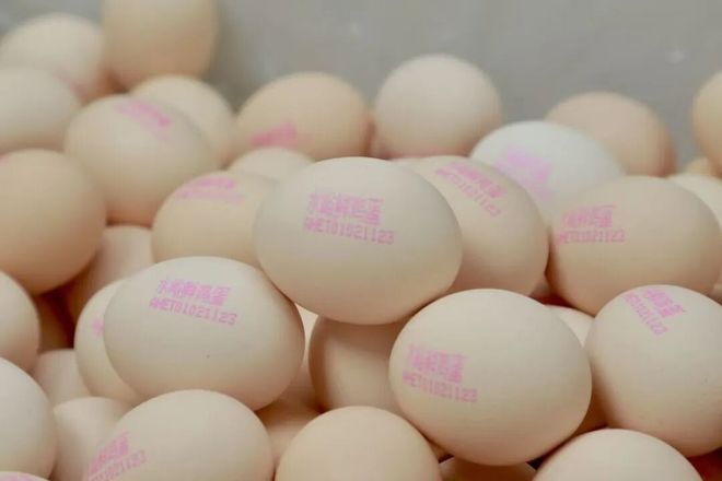 機器人掌勺10分鍾搞定1500人飯菜！北京中小學268個智慧食堂來了(圖7)