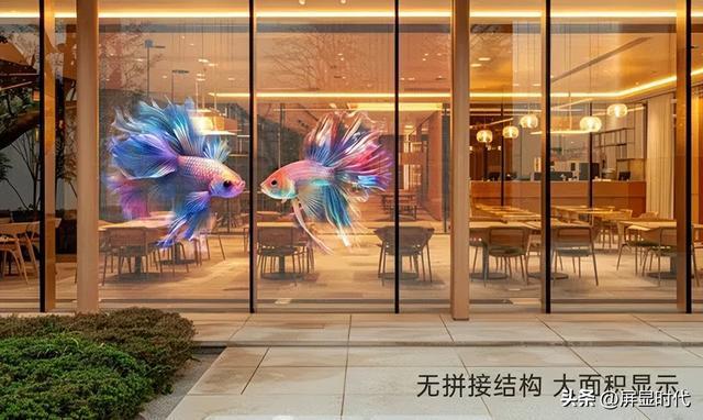 定義空間的光顯魔法師洲明全息顯示開辟嶄新沉浸式視覺時代(圖3)