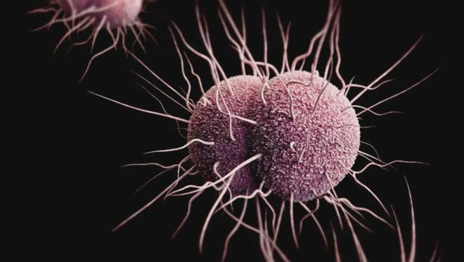 《Science》2025年度“十大科學突破”榜單揭曉(圖3)
