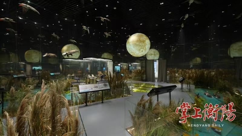 九遊娛樂：@屬馬、姓馬、名字含“馬”的遊客！2026年可免費遊回雁峰大雁文化體驗館(圖1)