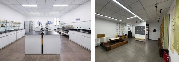 九遊娛樂：砥礪創新之翼 鑄就卓越之魂：營養源所新增榮譽資質(圖4)
