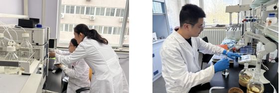 九遊娛樂：砥礪創新之翼 鑄就卓越之魂：營養源所新增榮譽資質(圖5)