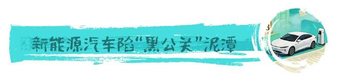 南周綠色 綠色消費十大輿情案例（2025-2026年）(圖7)
