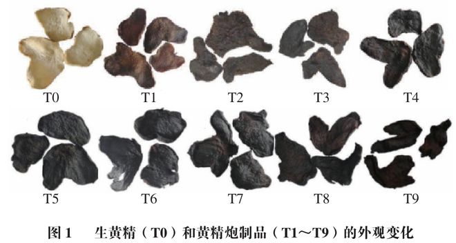 《食品科學》：華南理工大學王娟副研究員等：九蒸九製對黃精多糖和刺激性成分含量的影響及評價指標構建(圖2)